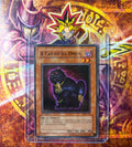 A Cat of Ill Omen PGD-070 1st Edition NM Englisch Yu-Gi-Oh!